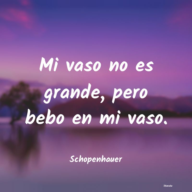 Frases de Schopenhauer