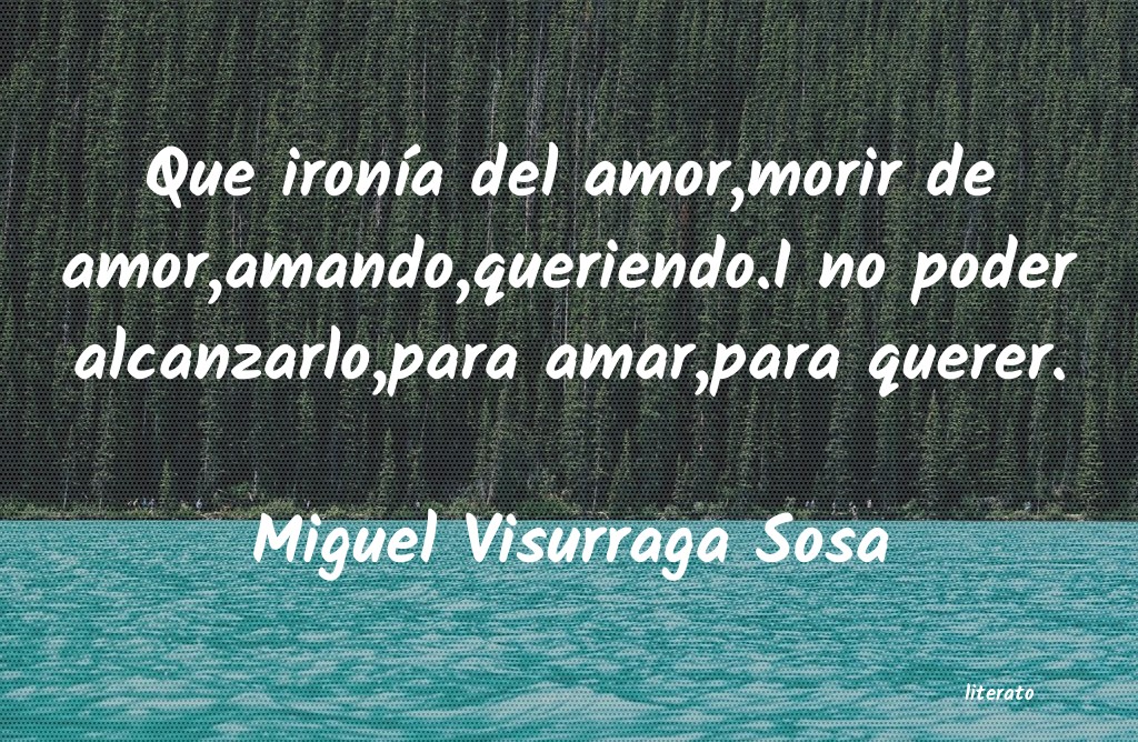 Frases de Miguel Visurraga Sosa