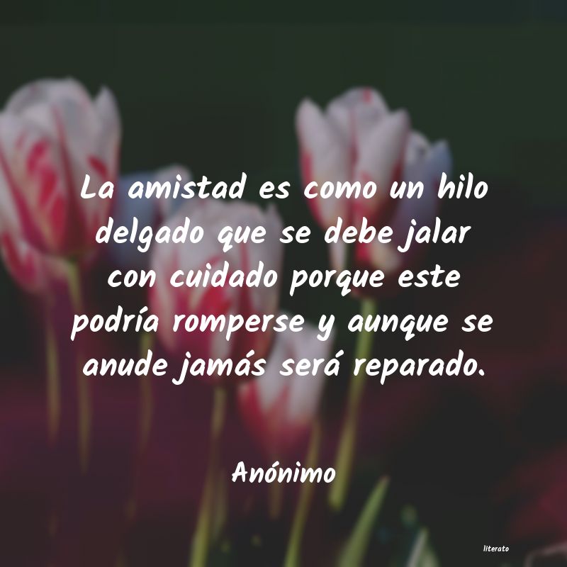 frases
