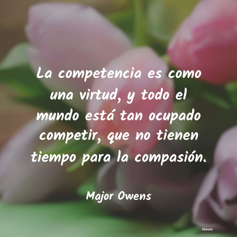 Frases de Major Owens