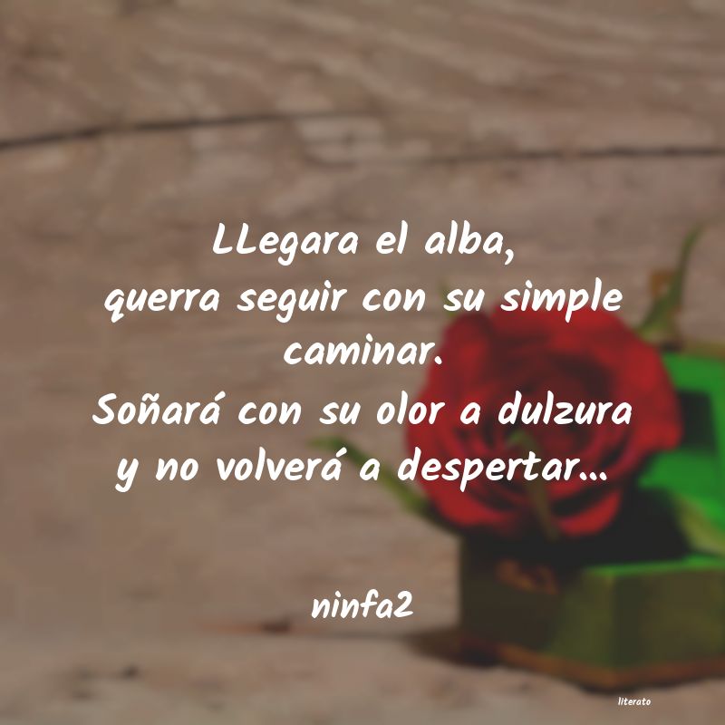 Frases de ninfa2