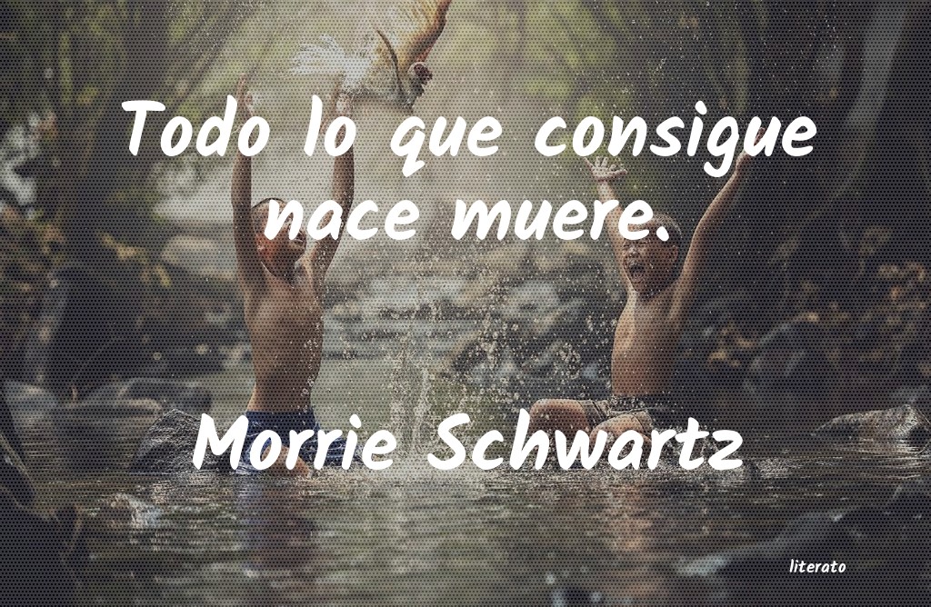 frases de Morrie Schwartz