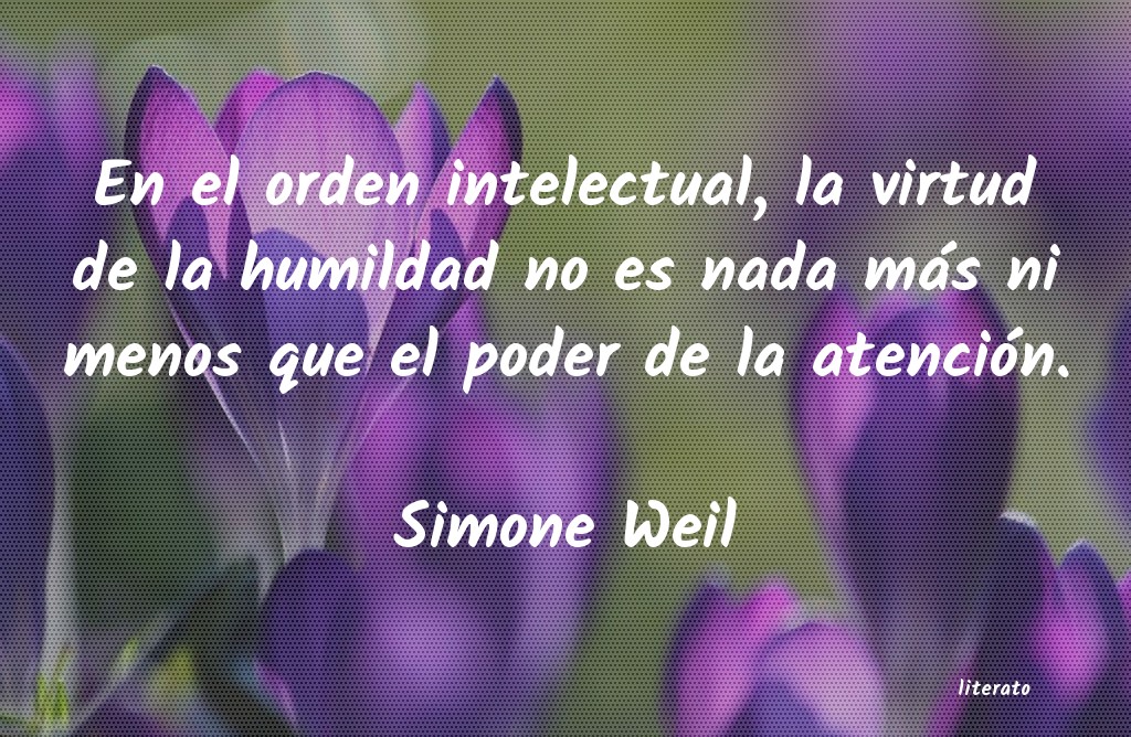 Frases de Simone Weil