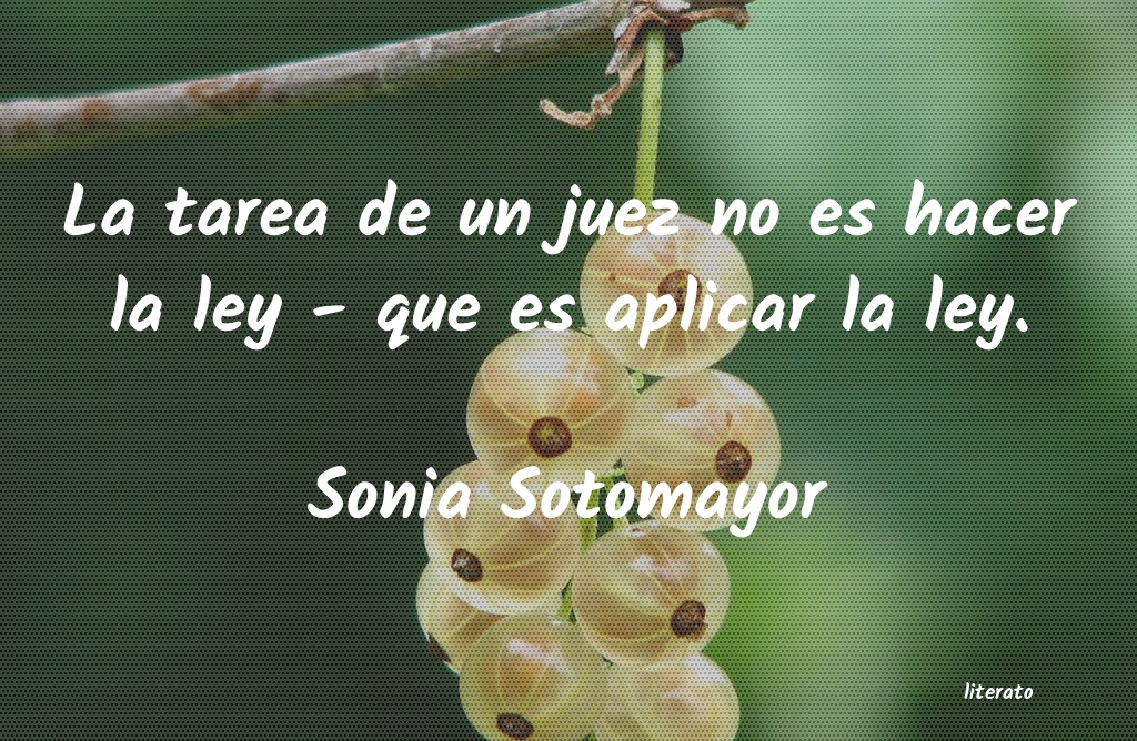 Frases de Sonia Sotomayor