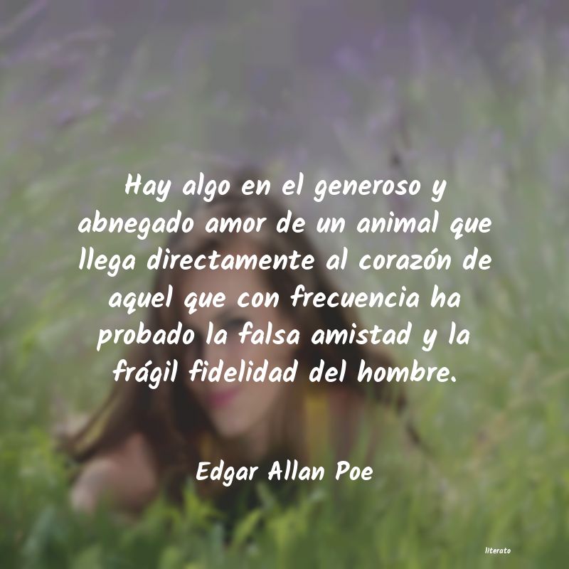 frases amo edgar alan poe