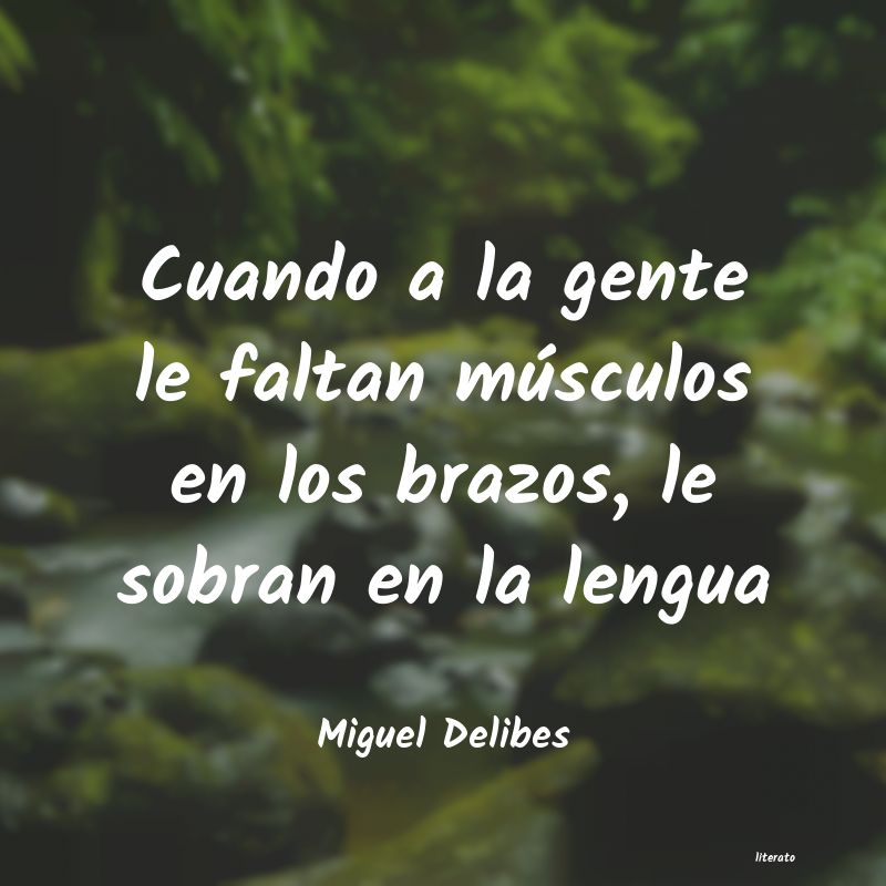 frases de Miguel Delibes
