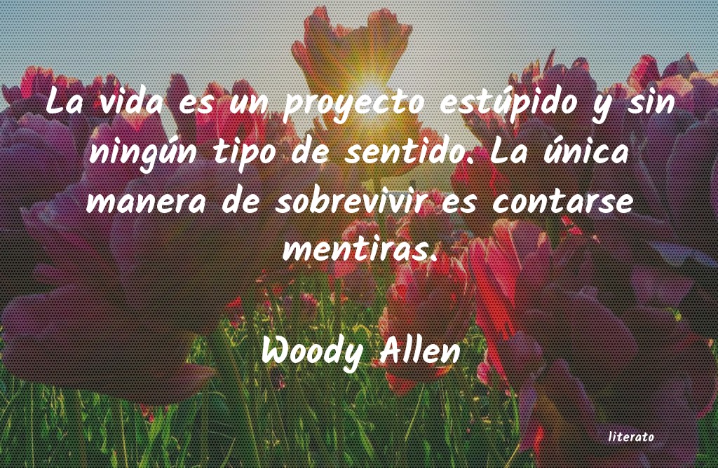 Frases de Woody Allen