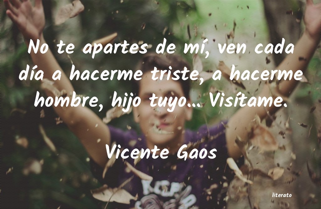 Frases de Vicente Gaos