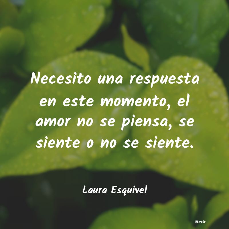 Frases de Laura Esquivel