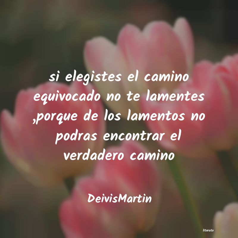 frases de DeivisMartin
