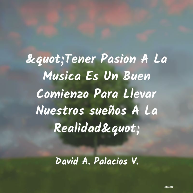 Frases de David A. Palacios V.