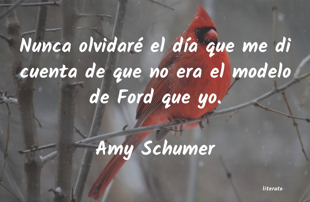 frases de Amy Schumer