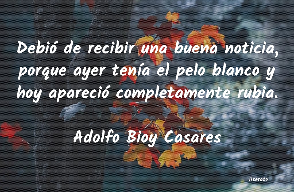 Frases de Adolfo Bioy Casares