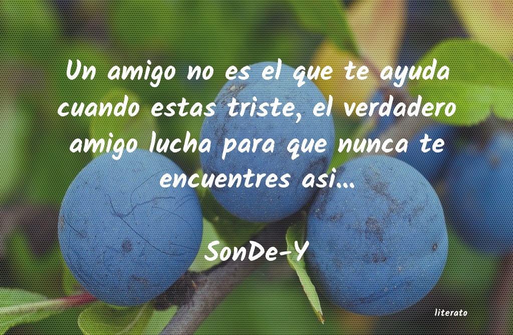 Frases de SonDe-Y