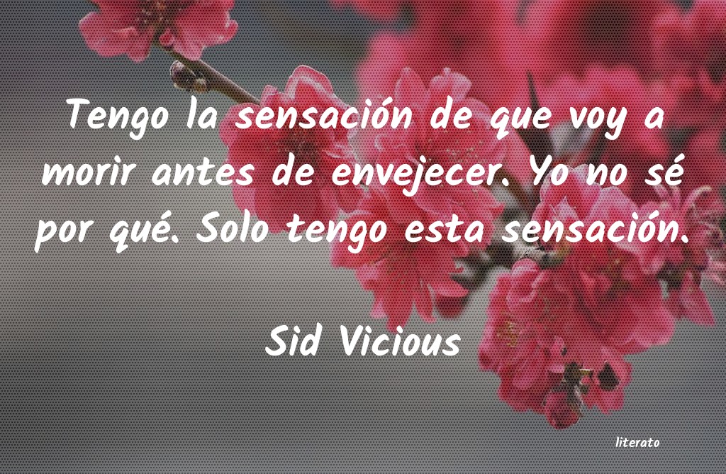 frases de Sid Vicious