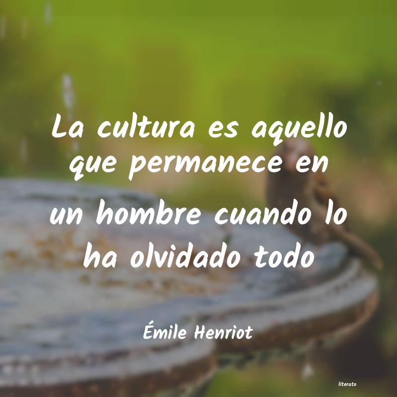 Frases de Émile Henriot