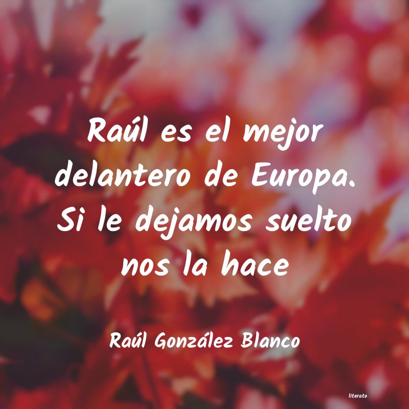 frases de Raúl González Blanco