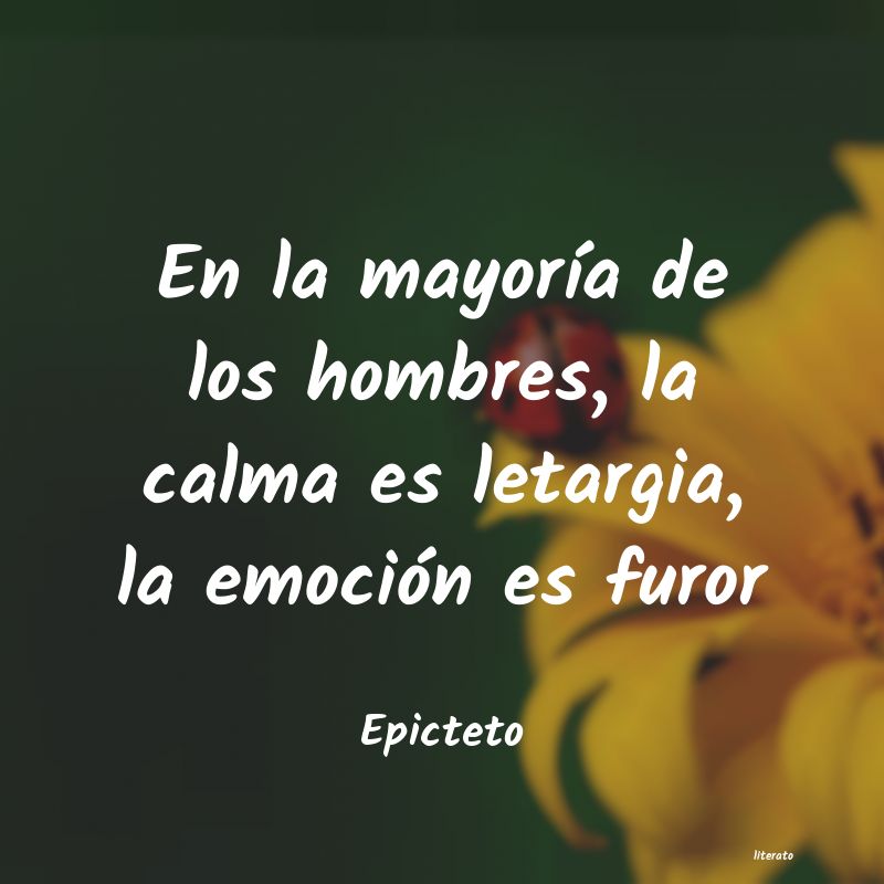 frases de calma y tranquilidad