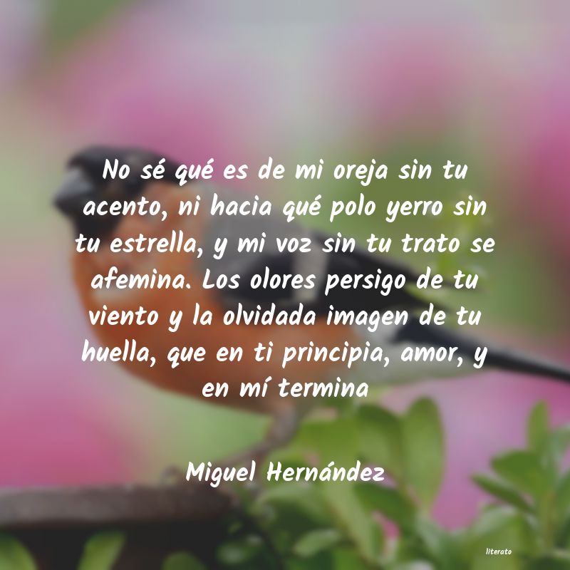 frases de Miguel HernÃ¡ndez
