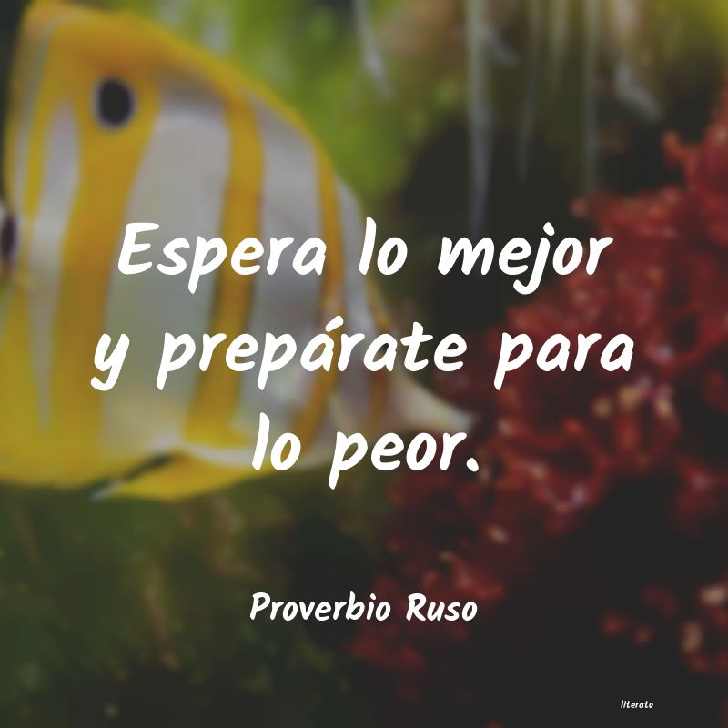 Frases de Proverbio Ruso