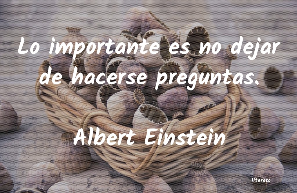 Frases de Albert Einstein