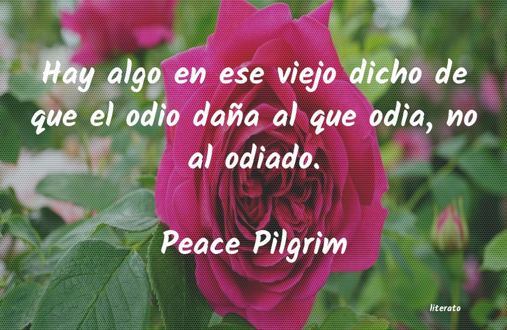 frases de Peace Pilgrim