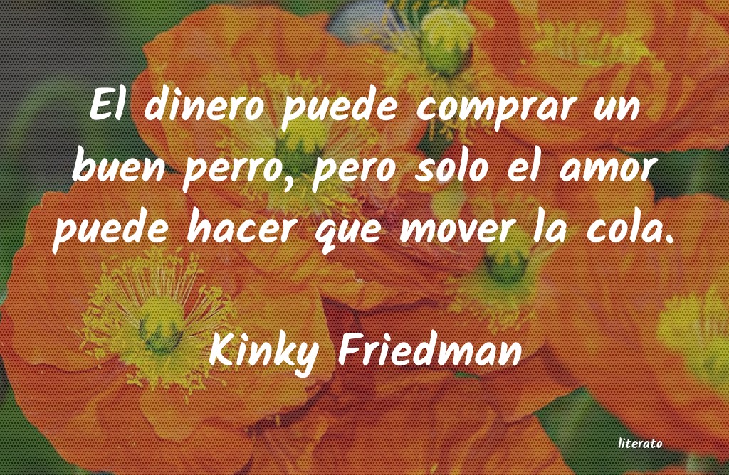 Frases de Kinky Friedman