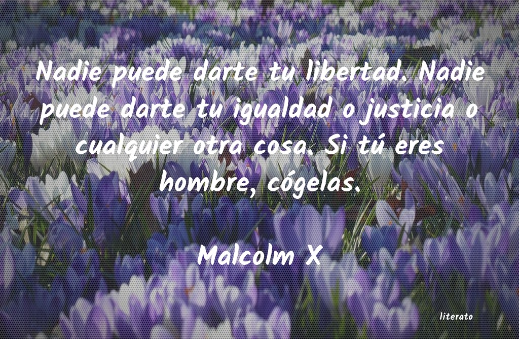 Frases de Malcolm X