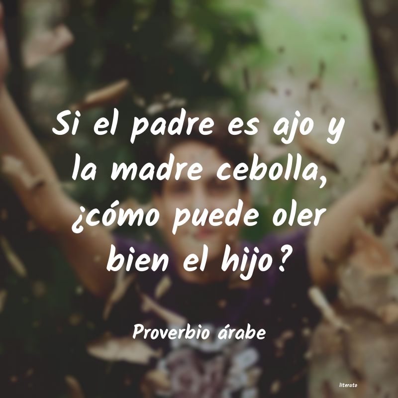 Frases de Proverbio árabe