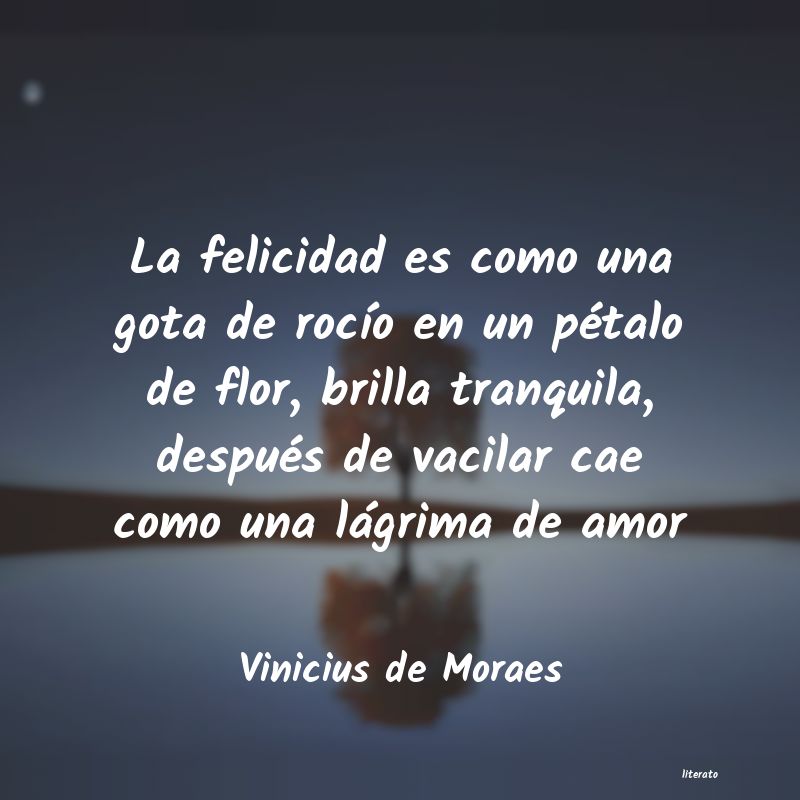 Frases de Vinicius de Moraes