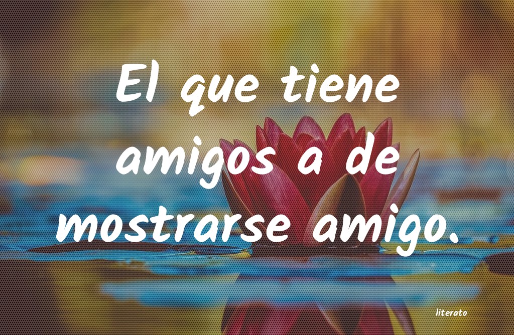 frases