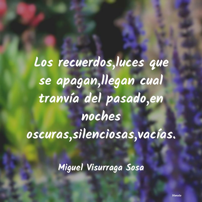 frases de Miguel Visurraga Sosa