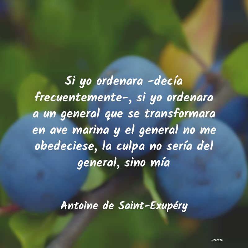 Frases de Antoine de Saint-Exupéry