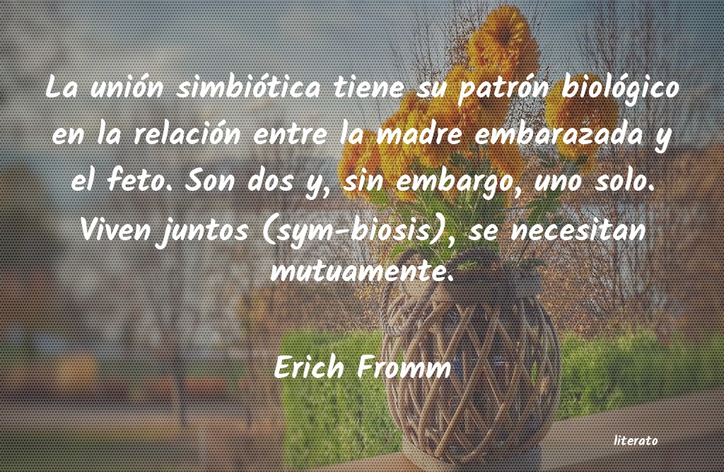 Frases de Erich Fromm