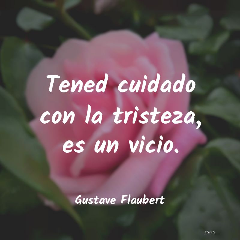 Frases de Gustave Flaubert