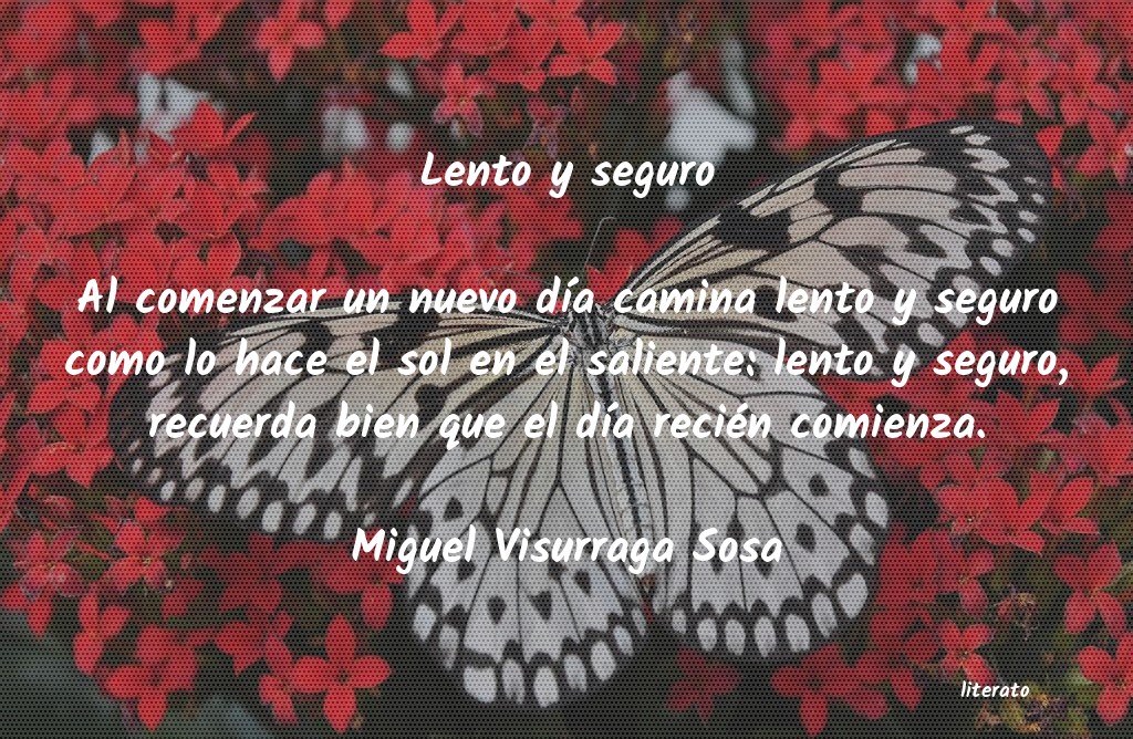 frases de Miguel Visurraga Sosa