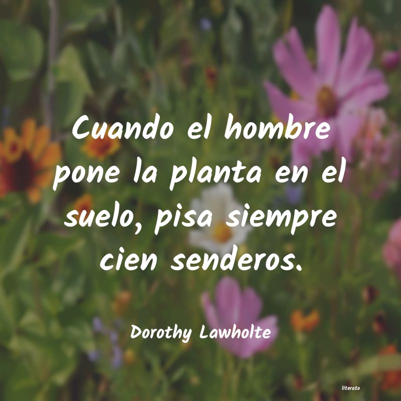 Frases de Dorothy Lawholte