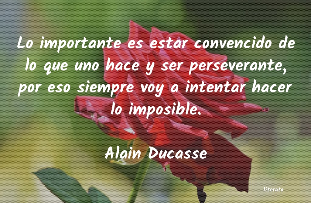 Frases de Alain Ducasse