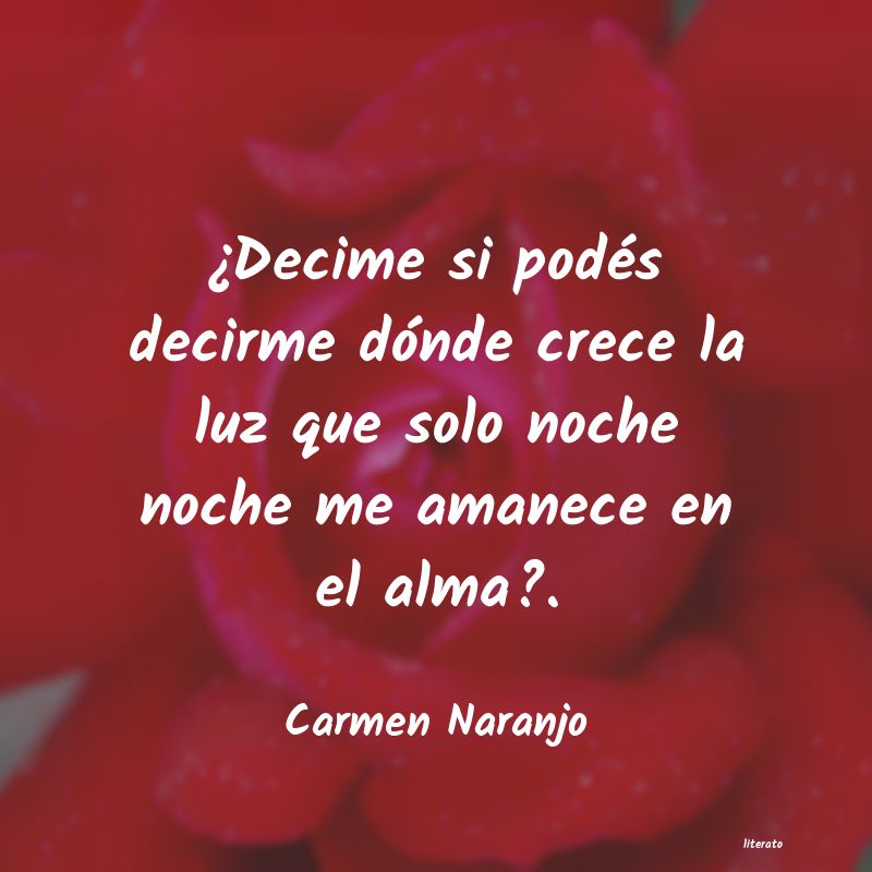 Frases de Carmen Naranjo