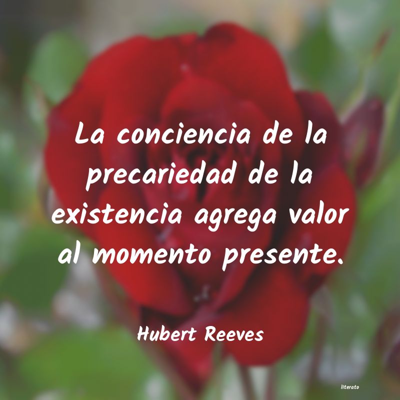 Frases de Hubert Reeves
