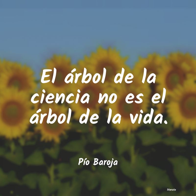 frases de PÃo Baroja
