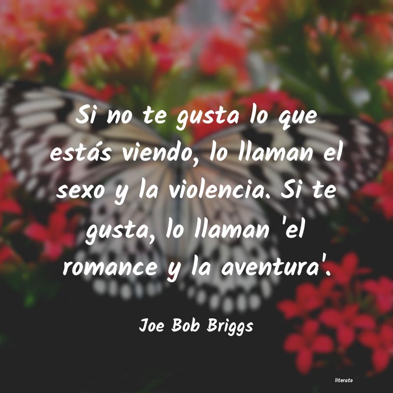 frases de Joe Bob Briggs