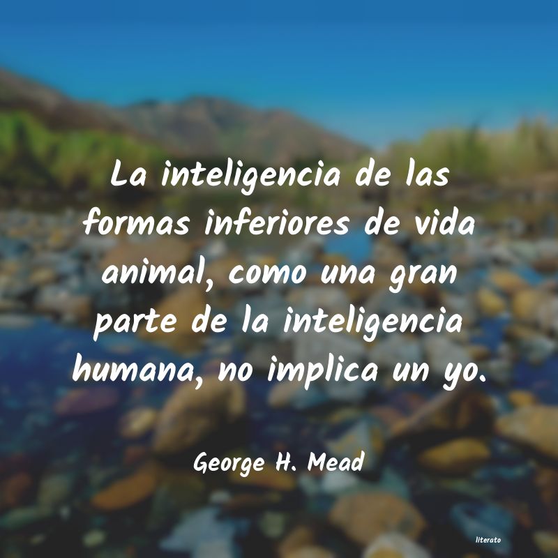 Frases de George H. Mead