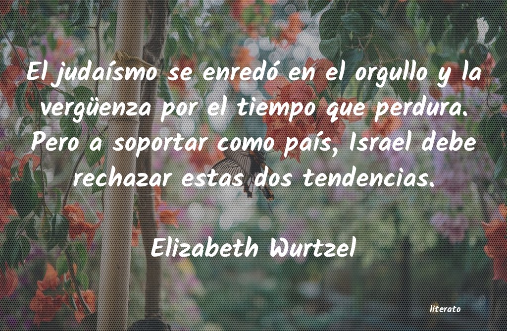 frases de Elizabeth Wurtzel