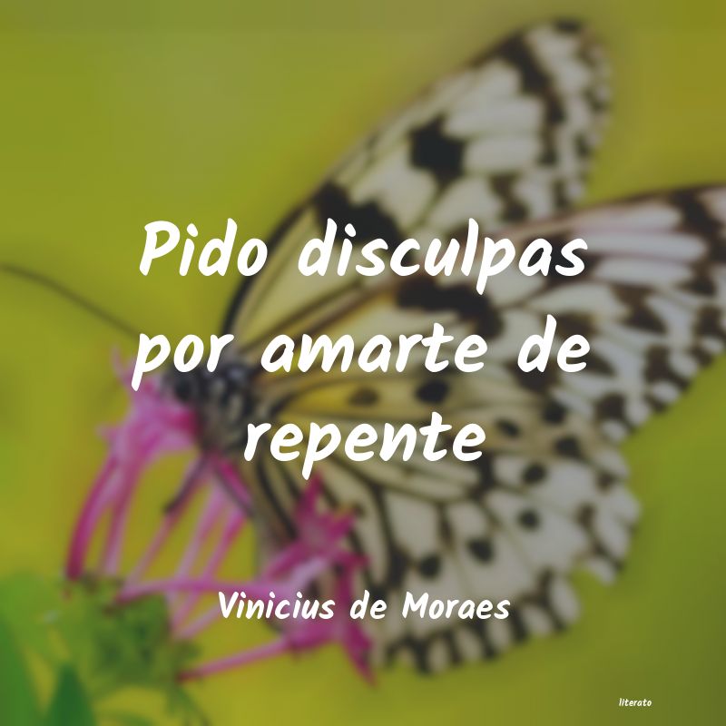 frases de Vinicius de Moraes