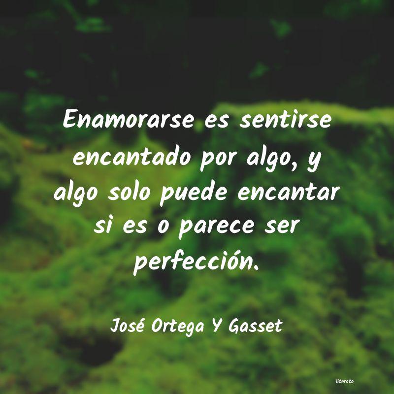 Frases de José Ortega Y Gasset