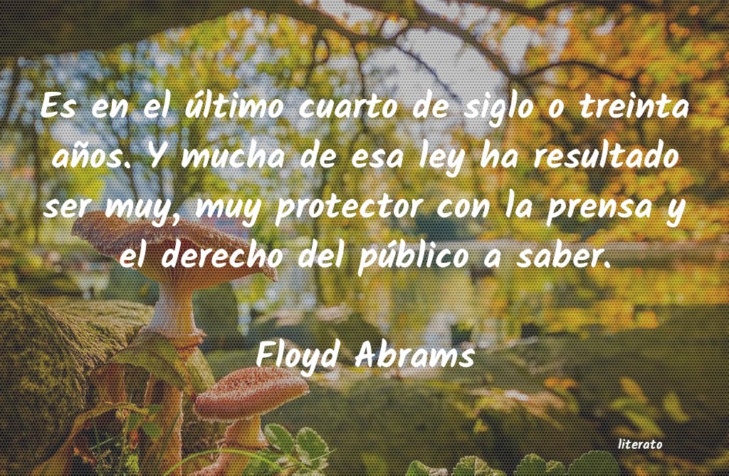 Frases de Floyd Abrams