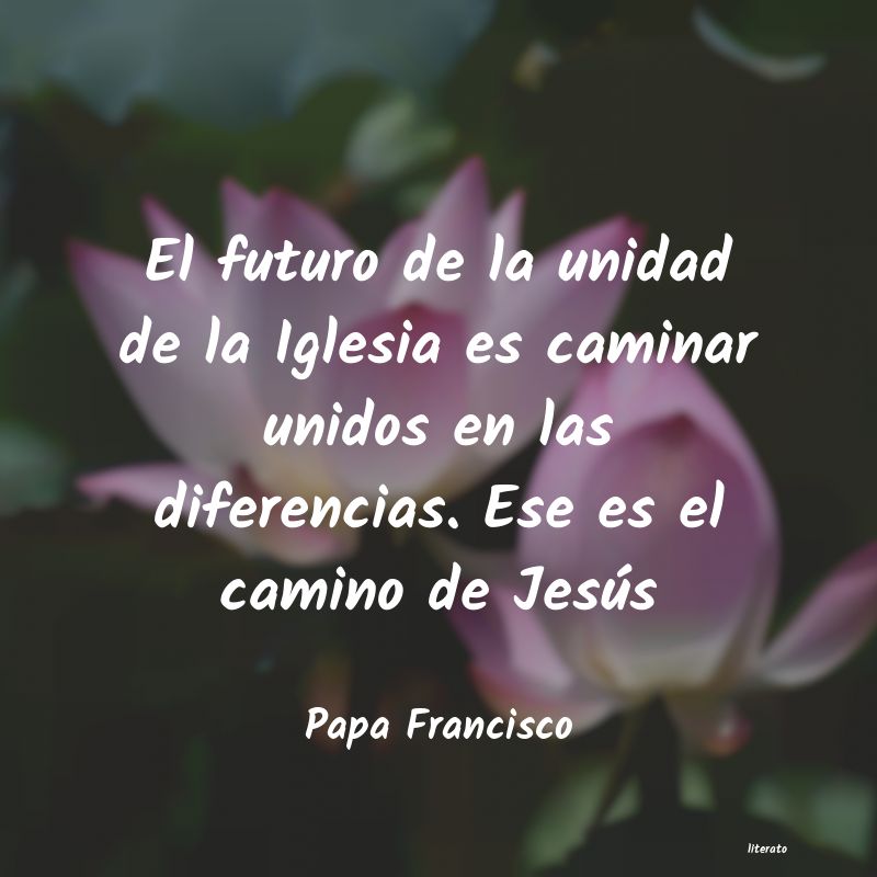 Frases de Papa Francisco