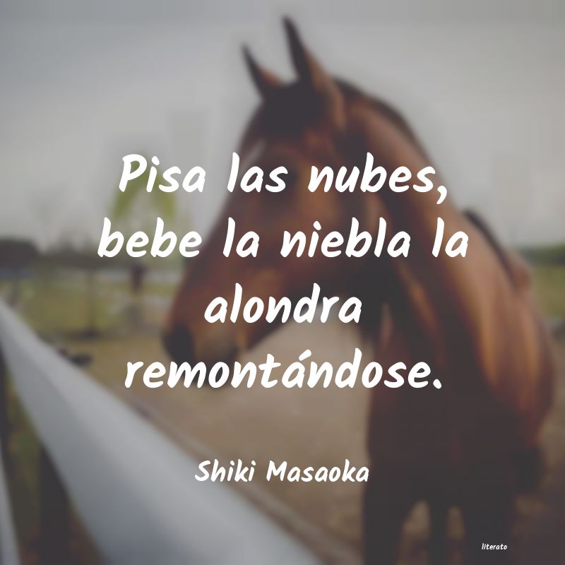 frases de Shiki Masaoka