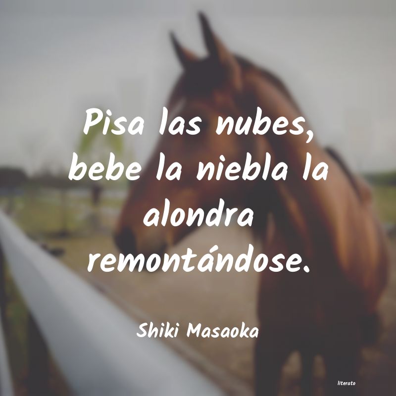 Frases de Shiki Masaoka